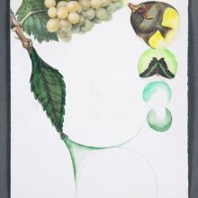 How to Make Green Grapes, Aesthetic Engineering