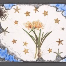 The Lily's Secret Fireworks, Aesthetic Engineering