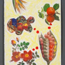 Pollination Possibilities, Aesthetic Engineering