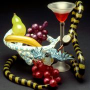 Soon to be Still Life