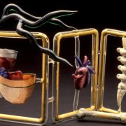An X-Ray Vision