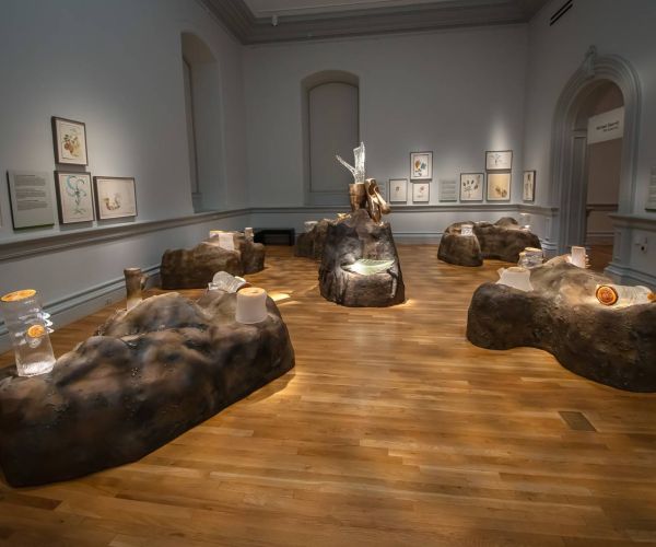 Reforestation of the Imagination at the Renwick Gallery of the Smithsonian American Art Museum